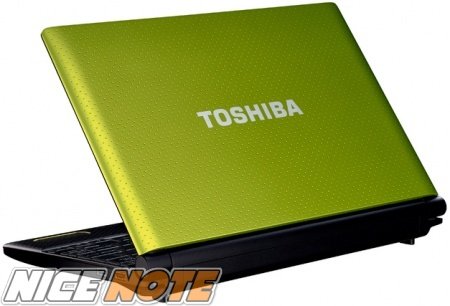 Toshiba Mini NB550D-10C